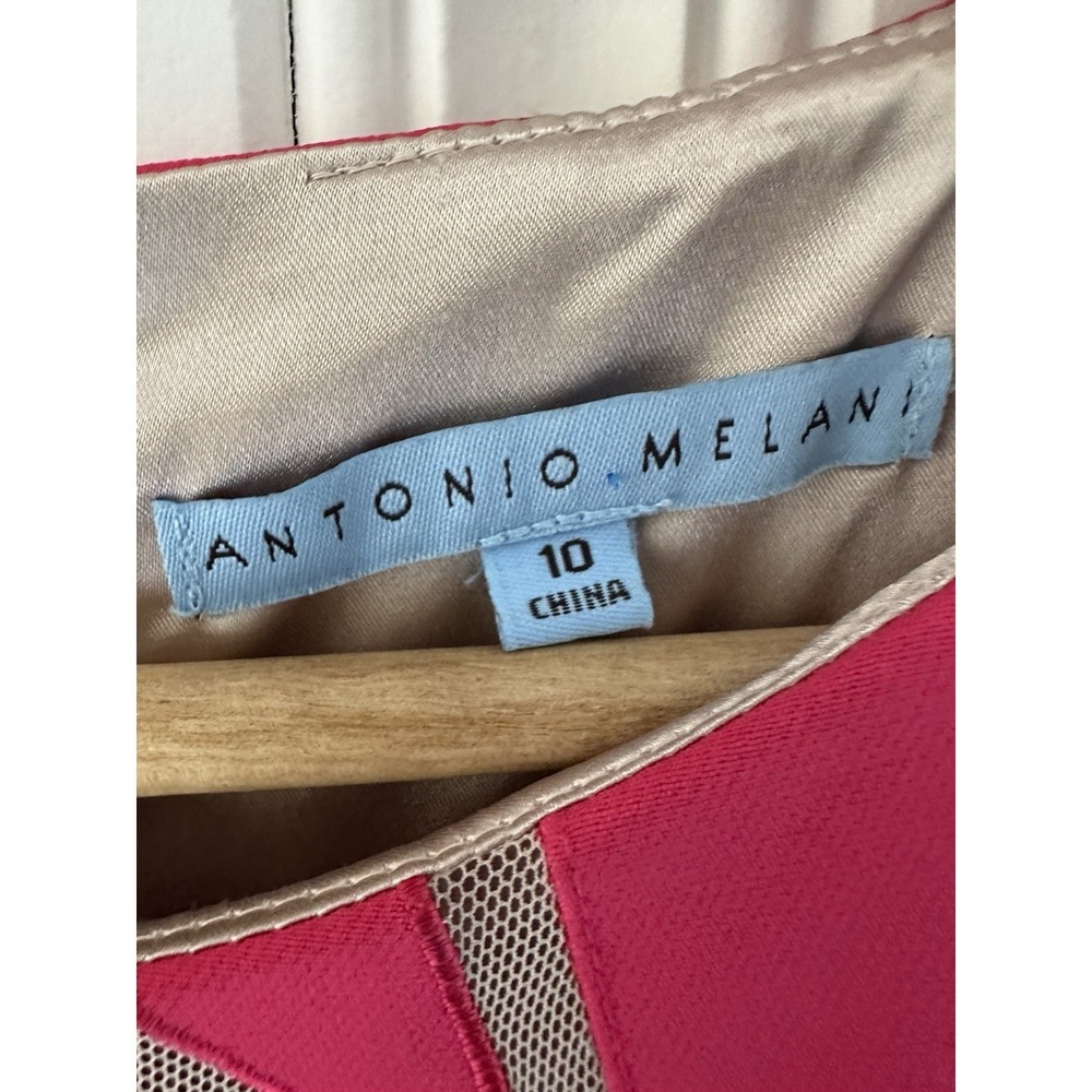 Antonio Melani Size 10 Pink Sheath Dress Mesh Geometric Detail Career Cocktail - Picture 4 of 8